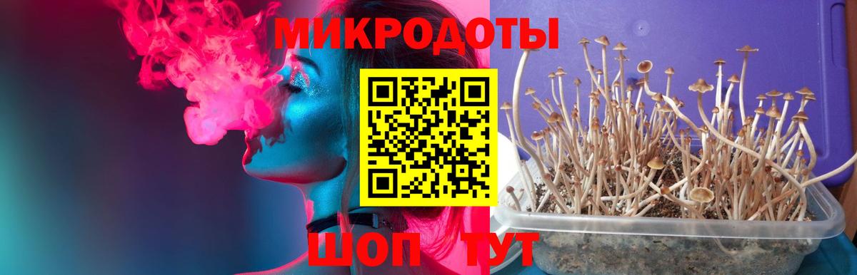 Галлюциногенные грибы прущие грибы Сегежа